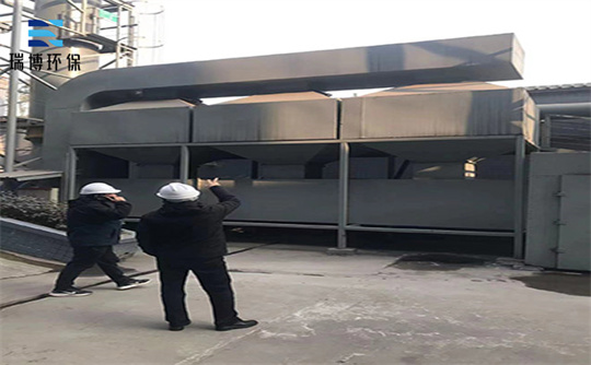 �o�a����̿������